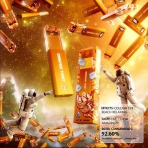 Favs Cart Cinnamon Toast 3G Disposable (Indica) – Favs Cart