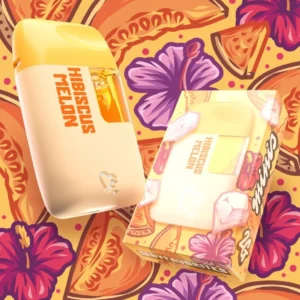 Favs Cart Hibiscus Melon 2G Mini – Favs Cart