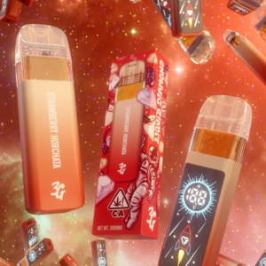 Favs Cart Strawberry Horchata 3G Disposable (Hybrid) – Favs Cart